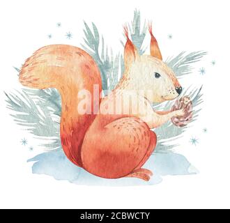 Set von Weihnachten Woodland Wald Cartoon Igel, niedlichen Eichhörnchen, Maus, Hase Hase Tier Charakter. Winter Waschbär weihnachtsbaum florale Elemente Stockfoto