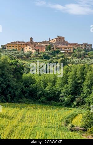 Schöne vertikale Ansicht des malerischen toskanischen Dorfes Lari, Pisa, Italien, mit einem Feld von Sonnenblumen unten Stockfoto