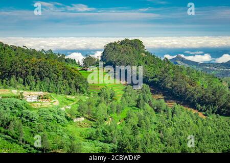 Berg mit Teegarten und erstaunliche blauen Himmel flachen Winkel Bild ist in südindien aufgenommen. Es zeigt die schöne Landschaft von südindien. Stockfoto