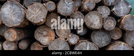 Hintergrund von alten dunklen Rundholzstämmen, die im Freien liegen. Nahaufnahme, Panoramaaufnahme. Stockfoto