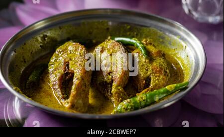 hilsa Fischcurry mit Senfpaste und grünem Chili serviert Auf Platte mit selektivem Fokus Stockfoto