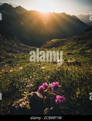Farbenprächtiger Sonnenuntergang auf der Spitze der österreichischen Alpen - schladminger tauern Stockfoto