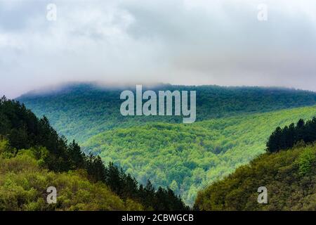 Bewaldete Hänge von Zlatibor Berg und Naturpark im Südwesten Serbien Stockfoto