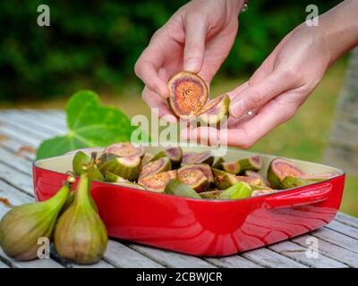 Eine Frau, die in einem Landgarten im Südosten Großbritanniens eine Rösterschale mit halbierten, selbst angebauten Feigen anstellt, August. Stockfoto