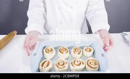 Ungebackene Zimtbrötchen in einer blauen Backform. Stockfoto