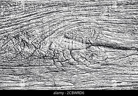 Alte trockene Holzstruktur in Bedrängnis bringen. Schwarz-weißer Grunge Hintergrund. EPS8-Vektorgrafiken Stock Vektor