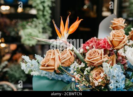 Schöne Boho Bouquet von verschiedenen Farben Pflanzen und Creme Rosen Im Blumenladen Stockfoto
