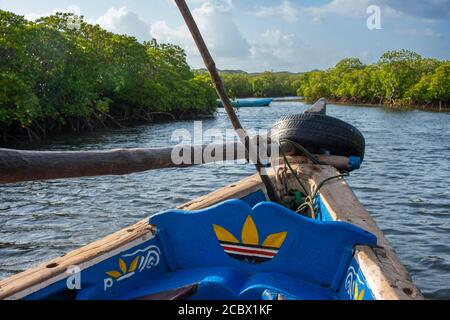 Dhow segelt durch den Makanda Kanal, Lamu Archipel, Kenia. Rote Mangroven entlang der Küste von Manda Island Stockfoto