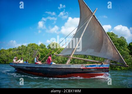 Dhow segelt durch den Makanda Kanal, Lamu Archipel, Kenia. Rote Mangroven entlang der Küste von Manda Island Stockfoto