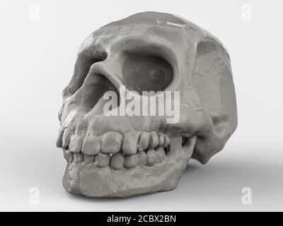 Abstrakter menschlicher Schädel auf weißem Hintergrund. 3D-Rendering Stockfoto