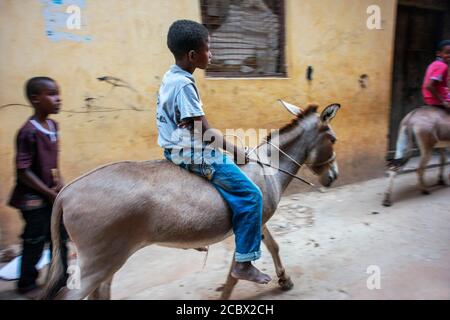 Kleiner Junge, der Esel auf der Hauptstraße der Stadt Lamu auf der Insel Lamu, Kenia, reitet. Stockfoto