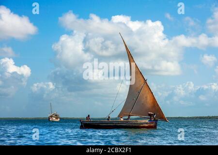 Boote in der Lamu Waterfront, Kenia, Lamu Insel UNESCO Weltkulturerbe Stockfoto