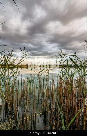 Schöner Sonnenuntergang auf dem See mit Wasserpflanzen in Ourense, Galicien, Spanien. Stockfoto