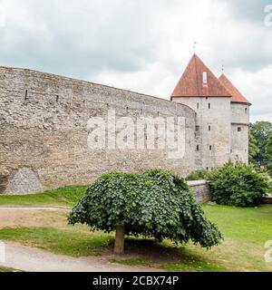 Teil der Festungsmauer mit Türmen des Tallinns Altstadt Stockfoto