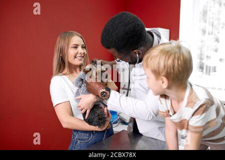 Netter Hund wird von selbstbewussten männlichen Tierarzt untersucht, seine gutaussehende freundliche Vormund ist in der Nähe. Health Care Konzept Stockfoto