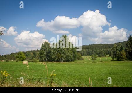 Wiesen und Berg Vysoka im Hintergrund, Wandern in der Nähe von Hojna Voda auf den Berg Vysoka, Tschechische Republik Stockfoto