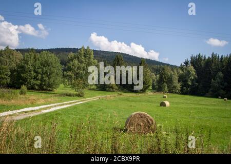 Wiesen und Berg Vysoka im Hintergrund, Wandern in der Nähe von Hojna Voda auf den Berg Vysoka, Tschechische Republik Stockfoto