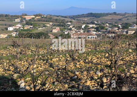 Die Weinberge von Châteauneuf-du-Pape mit Mont Ventoux am Horizont, Provence FR Stockfoto