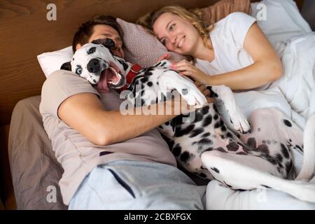 Schöne Familie verbringen Wochenenden mit Hund in gemütlichen häuslichen Umgebung, liegen auf dem Bett mit niedlichen dalmatinischen Hund, ein Familienmitglied, Liebe, Familienkonzept Stockfoto