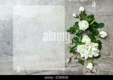 Feminine Hochzeitsbriefpapier, Desktop-Mock-up-Szene. Leere Grußkarte und Rosen. Alter grauer Hintergrund. Flach liegend, Draufsicht Stockfoto