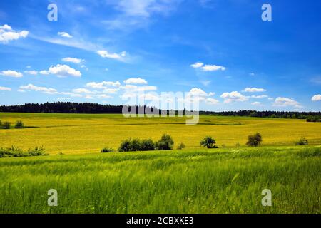 Landschaft in der Umgebung von Sulz am Neckar Stockfoto