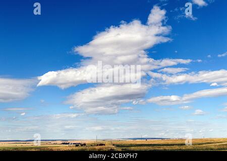 Eine anthropomorphe Wolkenbildung in Form eines fliegenden Vogels über dem Viehland (Pareidolia) Stockfoto