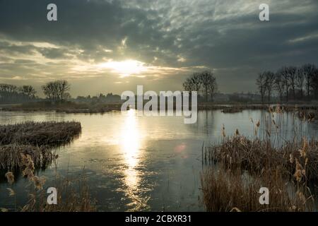 Sonnenschein auf einem gefrorenen See mit Schilf Stockfoto