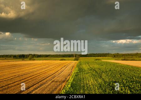 Wolken über Feldern, Czulczyce in Ostpolen Stockfoto