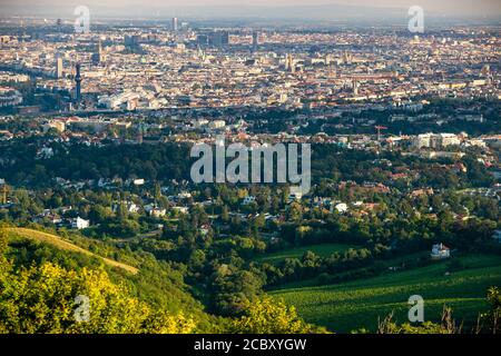 Wien. August 2020. Das Foto vom 16. August 2020 zeigt den Blick über Wien von der Kahlenberg Panoramaterrasse aus, in Wien, Österreich. Die Kahlenberg Panorama Aussichtsterrasse ist einer der berühmten Aussichtspunkte in Wien, der die Stadt überblickt und viele Touristen anzieht. Kredit: Guo Chen/Xinhua/Alamy Live Nachrichten Stockfoto
