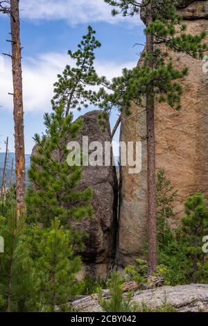 Blick auf dem Weg zum Black Elk Peak, dem höchsten Punkt in South Dakota Stockfoto