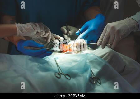 Nahaufnahme Detail einer Operation. Gruppe von Chirurgen bei der Arbeit im Op. Stockfoto
