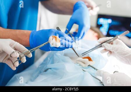 Nahaufnahme Detail einer Operation. Gruppe von Chirurgen bei der Arbeit im Op. Stockfoto