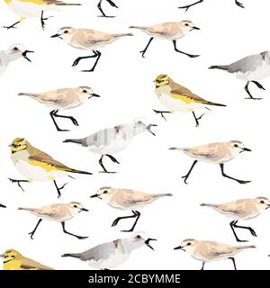 Vögel. Vektorbild. Weißer Hintergrund. Nahtloses Muster. Stock Vektor