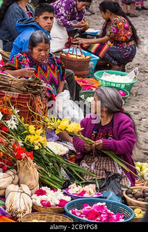 Quiche Maya Frauen verkaufen Blumen auf dem Blumenmarkt auf der prähispanischen Maya Treppe vor der Kirche von Santo Tomas in Chichicastenango, Guatem Stockfoto