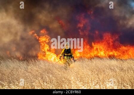 Wildfeuer wütet über Graswiese in Kalifornien Stockfoto