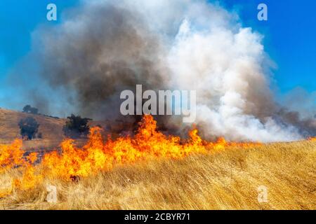 Wildfeuer wütet über Graswiese in Kalifornien Stockfoto