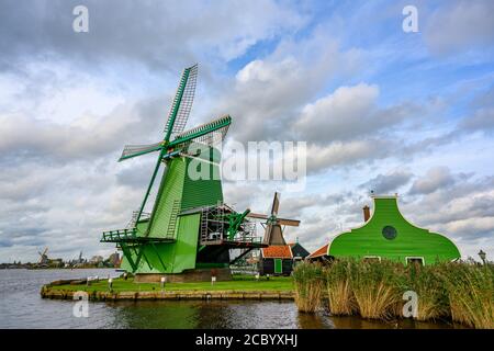 Windmühle in der Mitte einer grünen Wiese am Wasser an einem schönen blauen Tag in Zaanse Schans, Zaandam, Niederlande. Dies ist ein beliebter Tourist Stockfoto