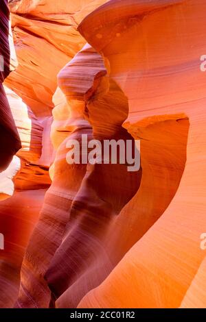 Jeder touristische Traum, in diese unterirdische Welt von zu bekommen Labyrinths Slot des Lower Antelope Canyon in Page Arizona geschnitzt Durch Wasser in Sandstein fo Stockfoto