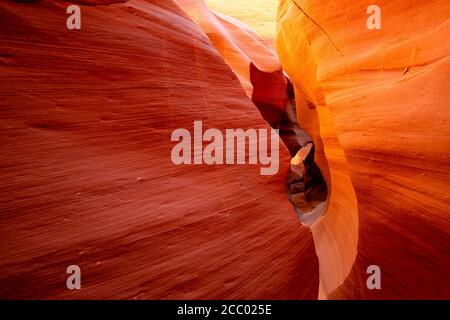 Einzigartig geformte Naturlandschaft am Lower Antelope Canyon in Page Arizona mit lebhaften Sandsteinen, die in flackigen Brandwellen gestapelt sind Ein schmaler sandiger Labyr Stockfoto