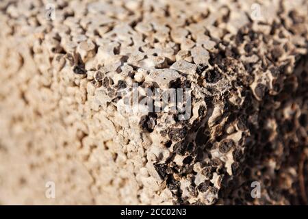 Nahaufnahme von Blöcken aus Beton und kleinen Kugeln Stockfoto