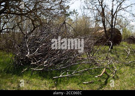 Ein Stapel Reisig auf grünem Gras im Freien gestapelt. Getrocknet.Umwelt, ökologisch. Stockfoto