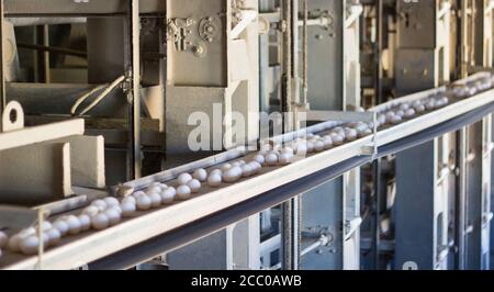Hühnereier bewegen sich auf einem Förderband in einer Geflügelfarm. Lebensmittelindustriekonzept, Hühnereiproduktion, automatisch Stockfoto