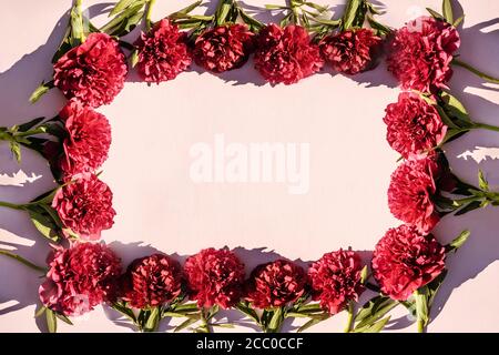 Rahmen aus schönen rosa Pfingstrosen und Blüten auf rosa Hintergrund. Grußkarte für eine Liebesbotschaft, für eine Hochzeit mit Kopierplatz. Stockfoto