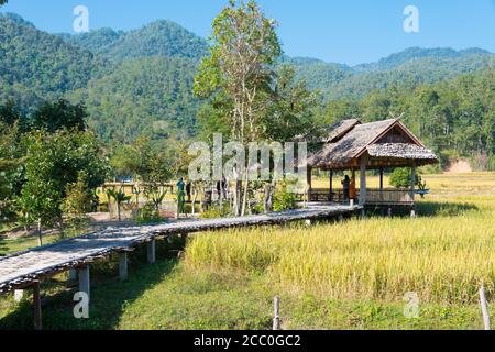 Pai, Thailand - Pai Bambusbrücke (Boon Ko Ku so) in Pai, Mae Hong Son Provinz, Thailand. Stockfoto