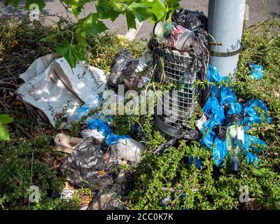 Müll im Wald mit Mülleimer Stockfoto