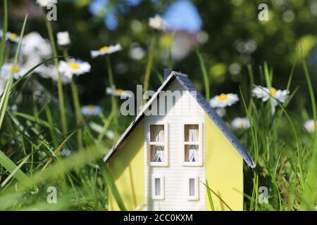 Modellhaus in einer üppigen Wiese mit Gänseblümchen als Symbol für den Wunsch nach einem Zuhause auf dem Land Stockfoto