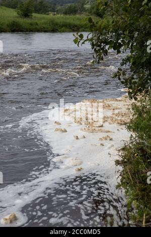 Verschmutzung durch weißen Schaum in einem Fluss, der die Umwelt kontaminiert Stockfoto