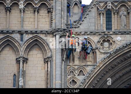 Die Steinmetz Kate Holmes von Architectural & Heritage Scanning Ltd seils down Peterborough Cathedral, um einen Laserscan auf dem durchzuführen, was das Team behauptet, das am meisten digital aufgezeichnete historische Gebäude der Welt ist, vor Westminster Abbey und Notre Dame Cathedral. Stockfoto