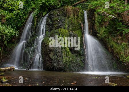 Wasserfälle im Fairy Glen auf der Black Isle im schottischen Hochland ist das glen ein Naturschutzgebiet in der Nähe des Dorfes Rosemarkie. Stockfoto