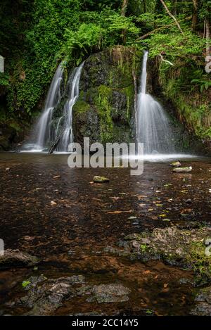 Wasserfälle im Fairy Glen auf der Black Isle im schottischen Hochland ist das glen ein Naturschutzgebiet in der Nähe des Dorfes Rosemarkie. Stockfoto